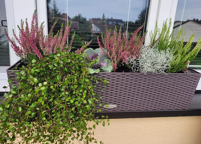 Novy Apartman Eva